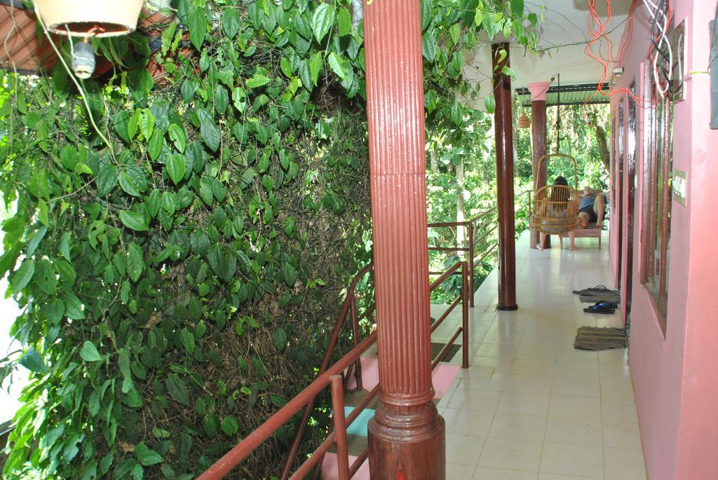 Jungleparadiso Homestay Thekkady Eksteriør billede