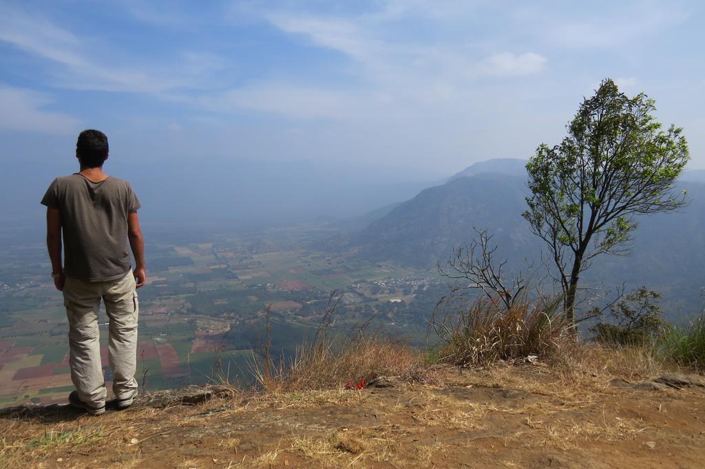 Jungleparadiso Homestay Thekkady Eksteriør billede