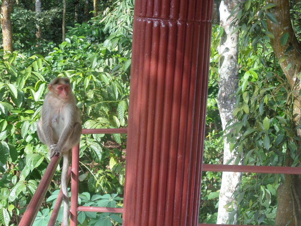 Jungleparadiso Homestay Thekkady Eksteriør billede