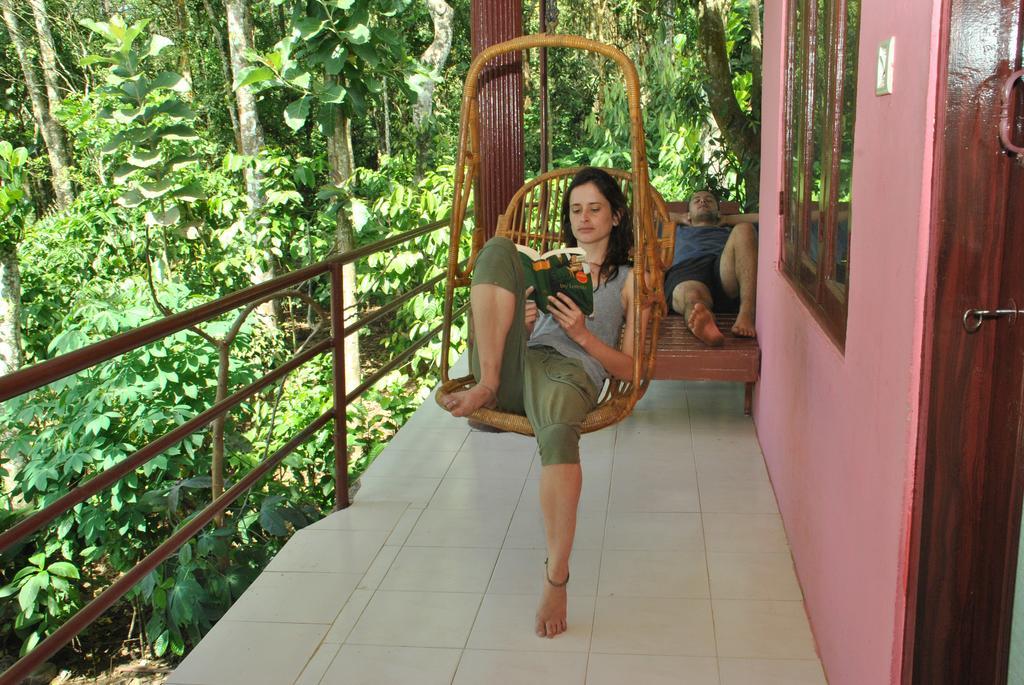 Jungleparadiso Homestay Thekkady Eksteriør billede