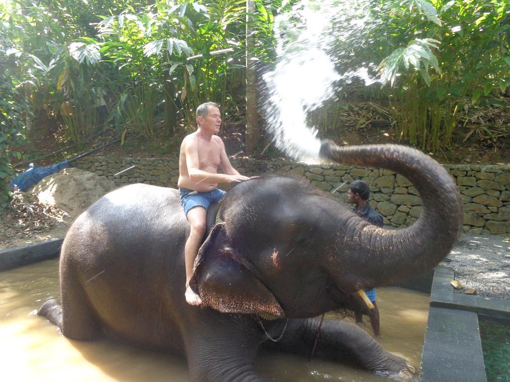 Jungleparadiso Homestay Thekkady Eksteriør billede