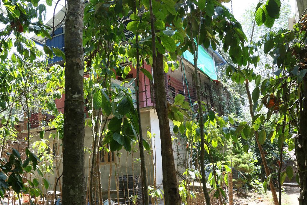 Jungleparadiso Homestay Thekkady Eksteriør billede